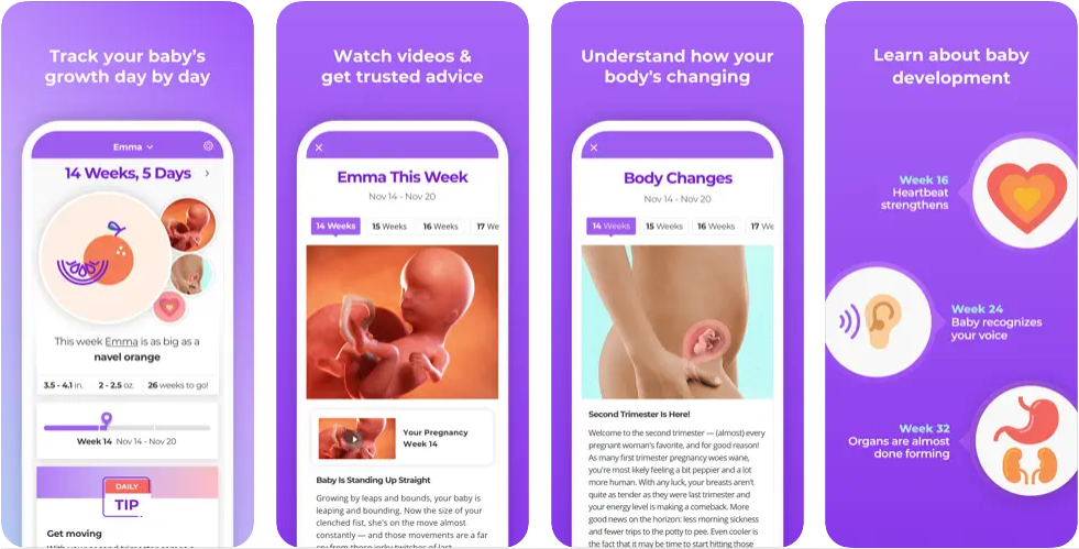 Pregnancy & Baby Tracker app